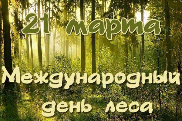 «Лес — национальное богатство!».